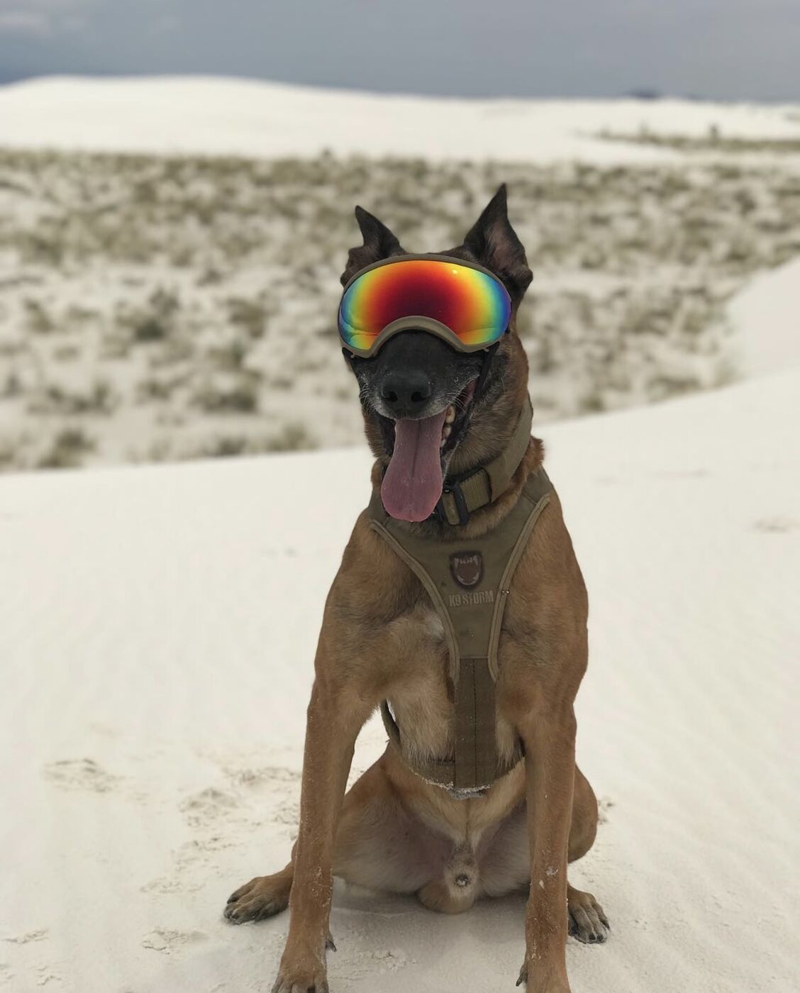 K9 Rev — ski goggles, White Sands