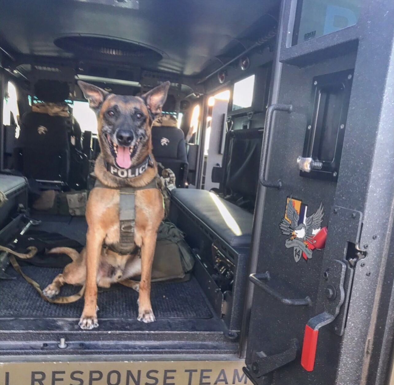 Active K9