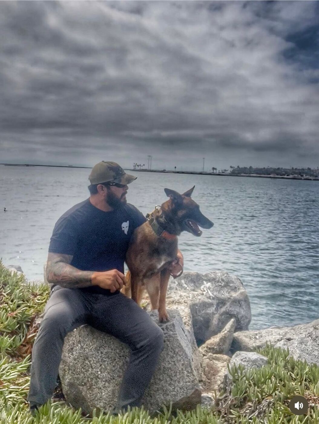 Active K9