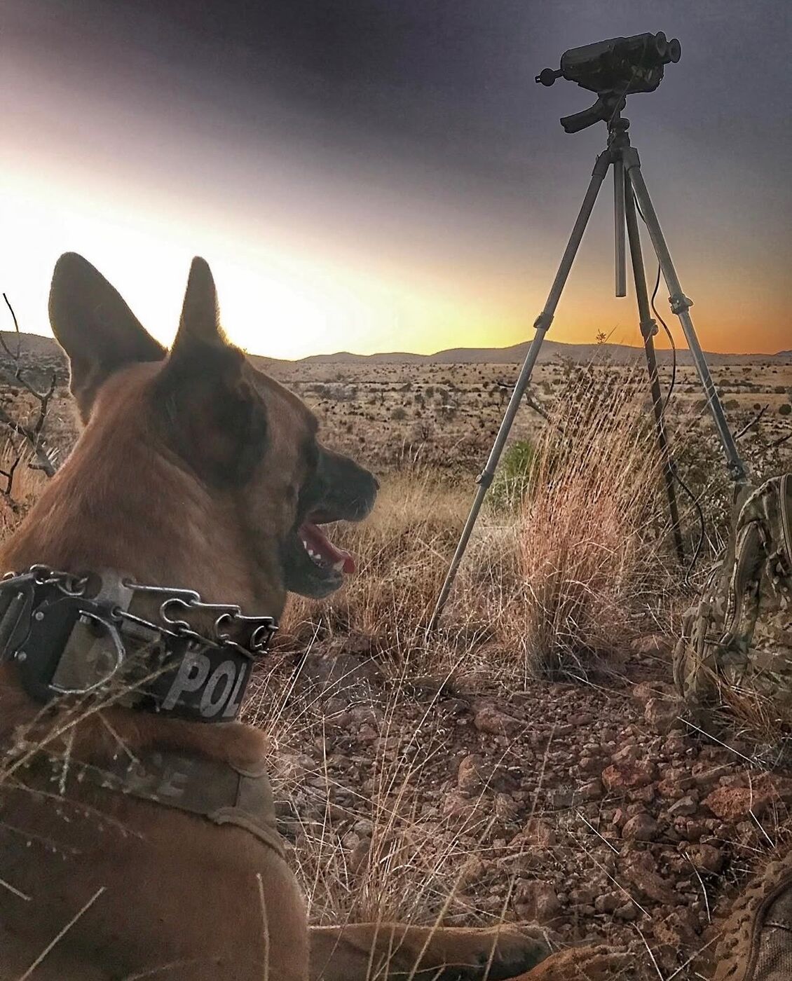 K9 Rev