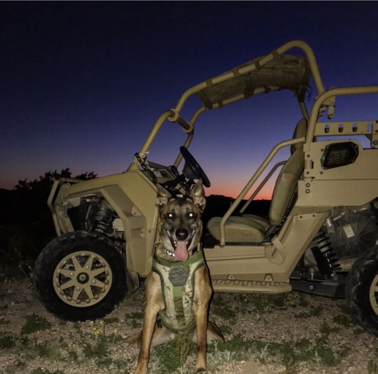K9 Rev
