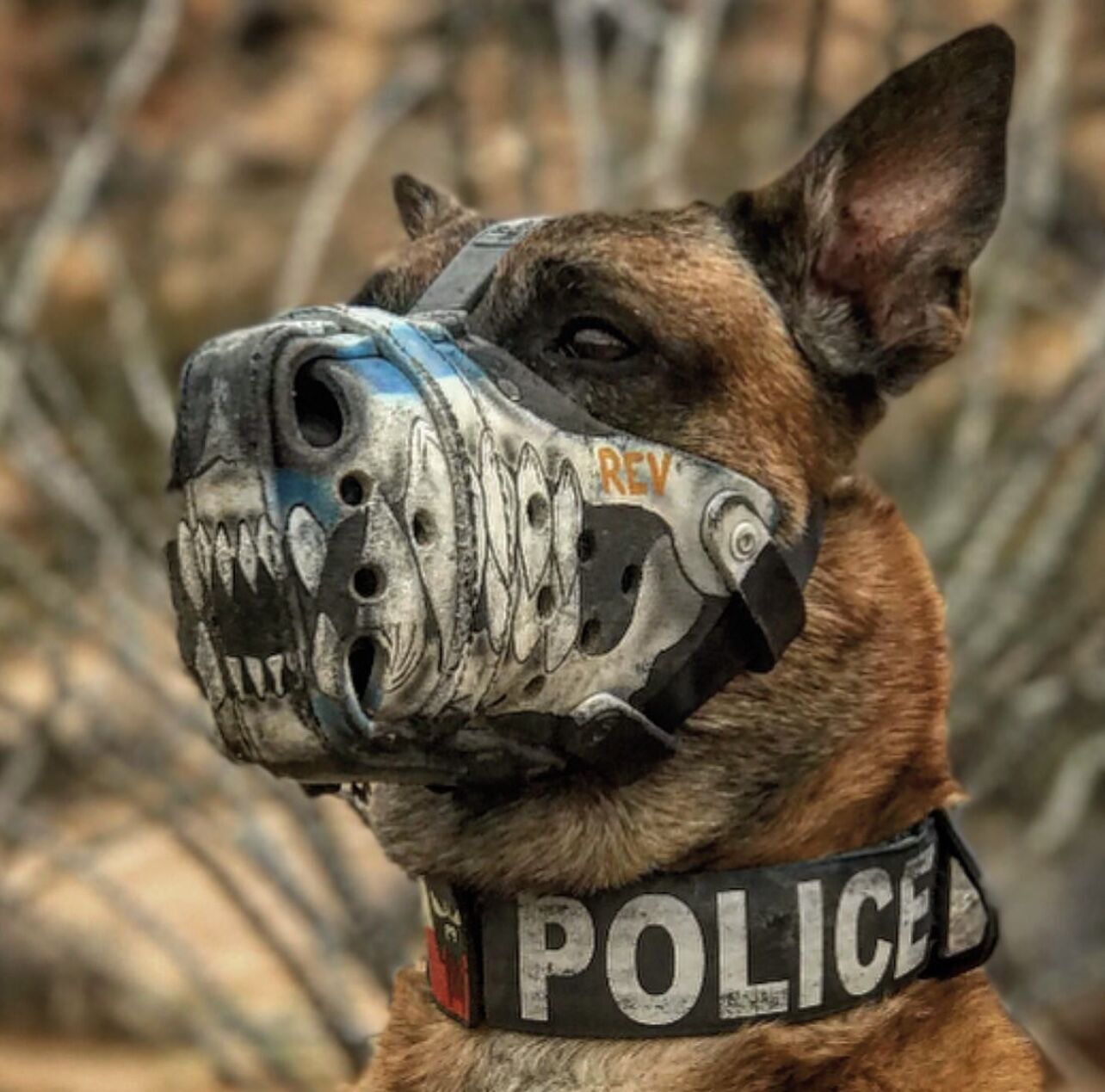 Custom K9 Muzzle