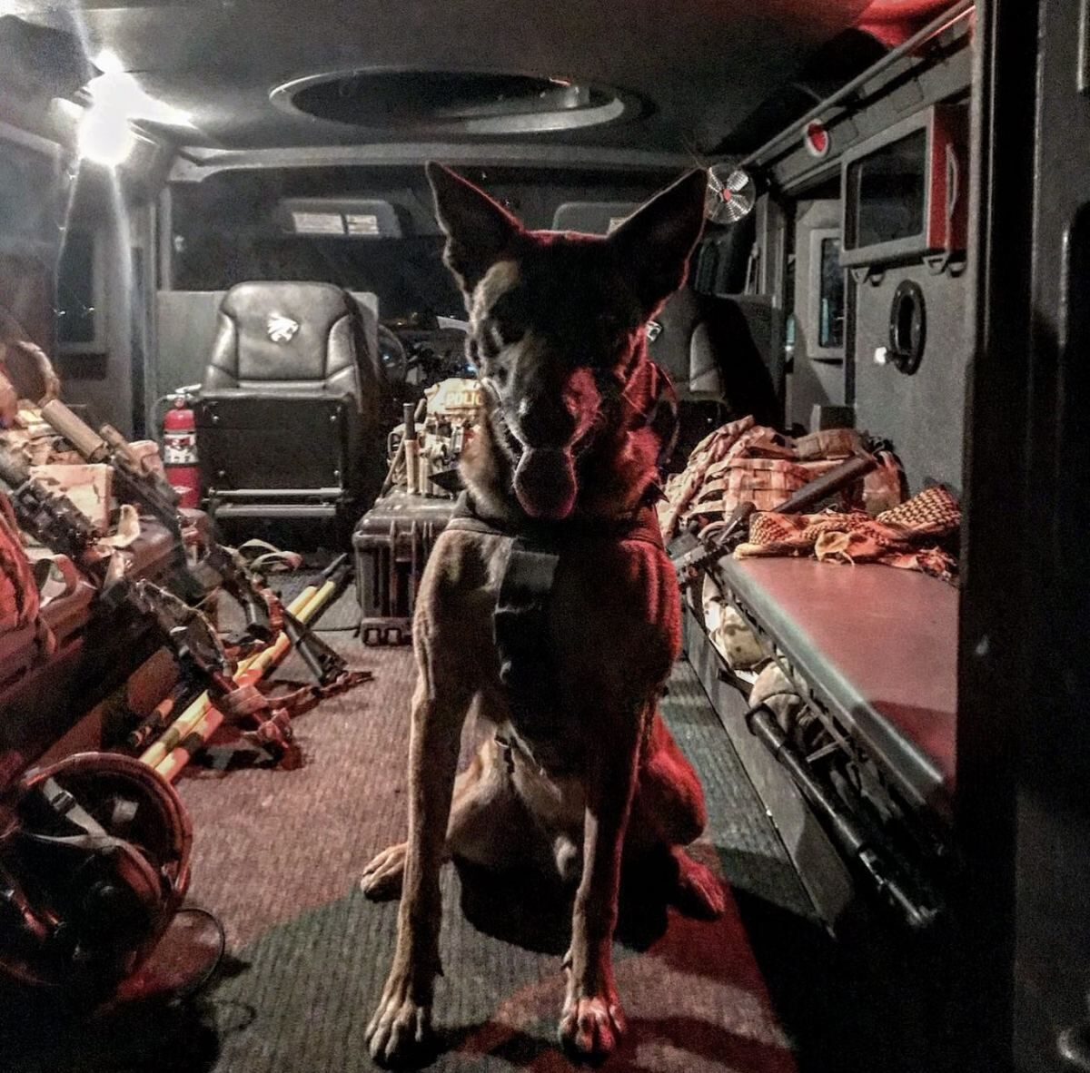 Custom K9 Muzzle