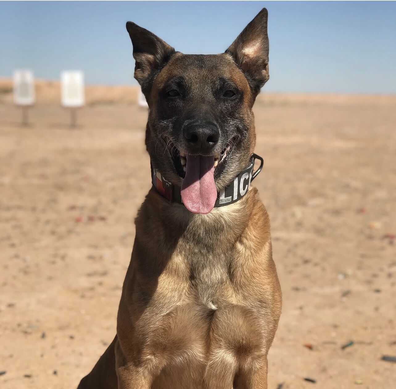 Custom K9 Muzzle