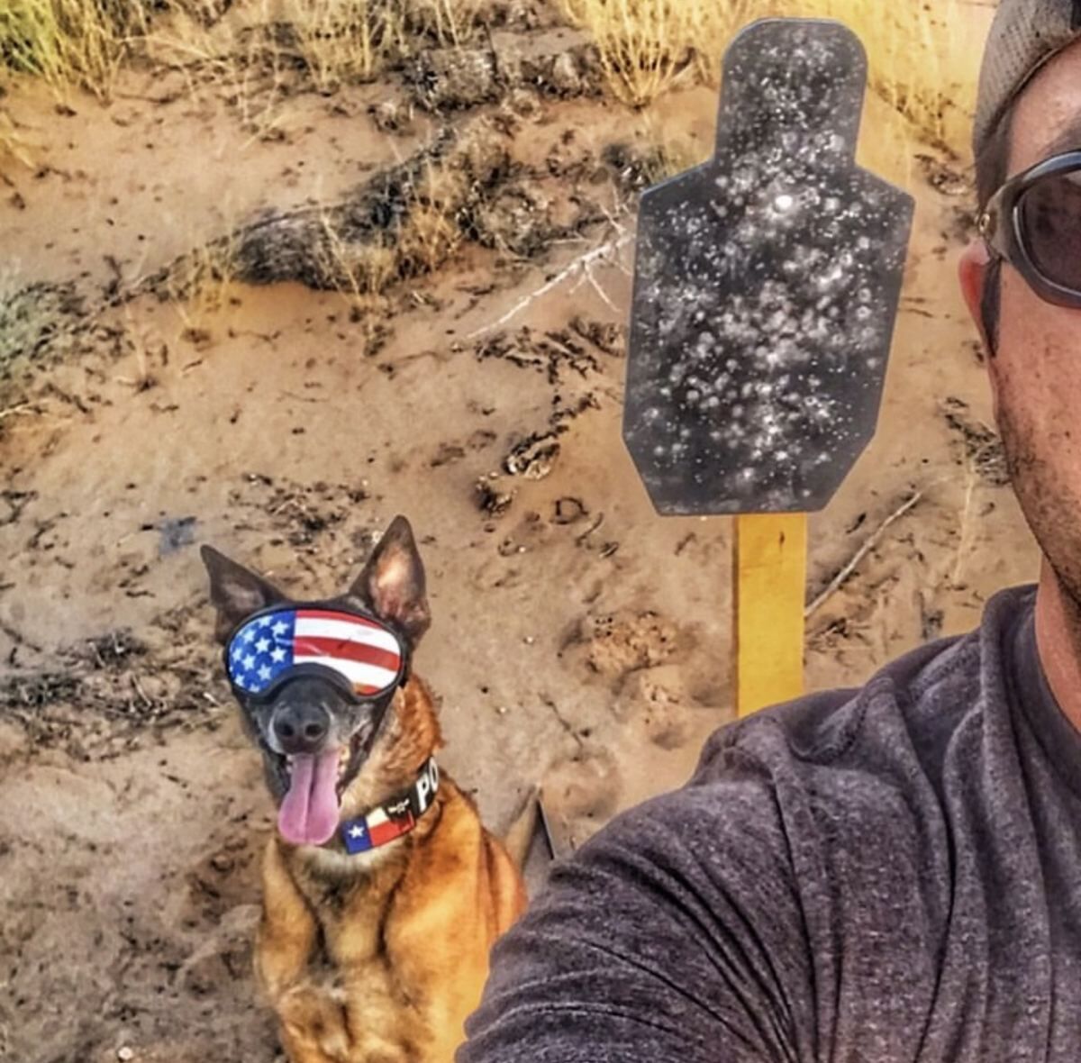 Active K9