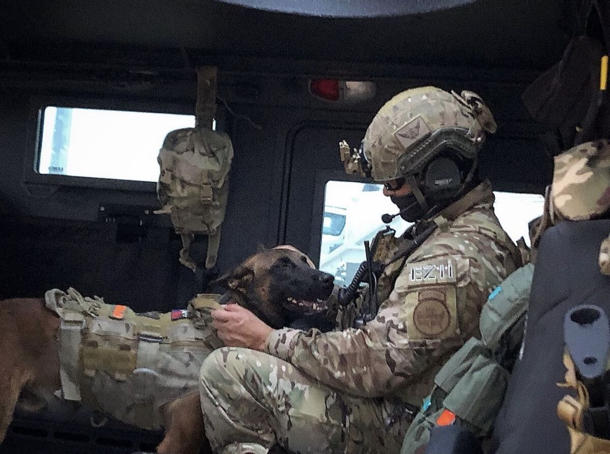 Active K9
