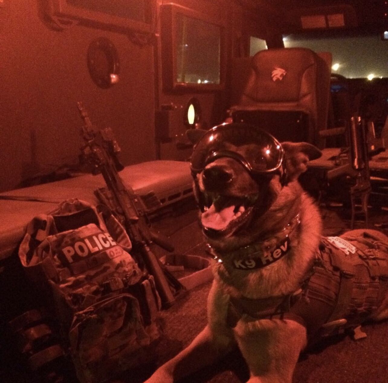 K9 Rev — tactical