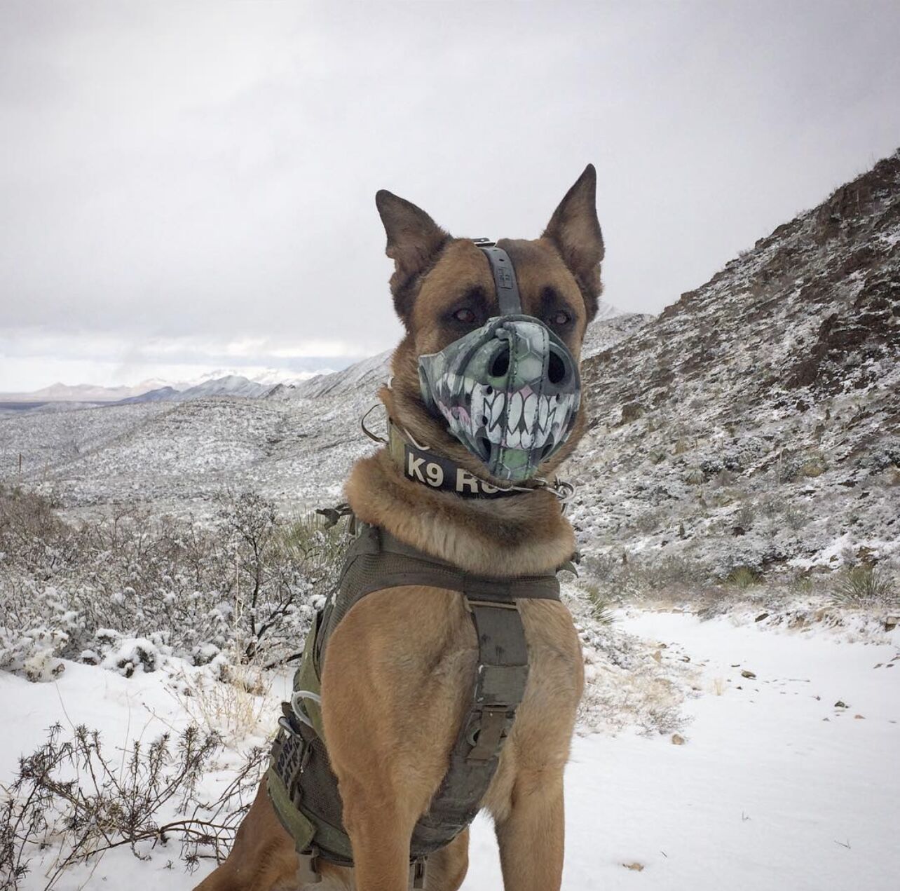 Field operations
