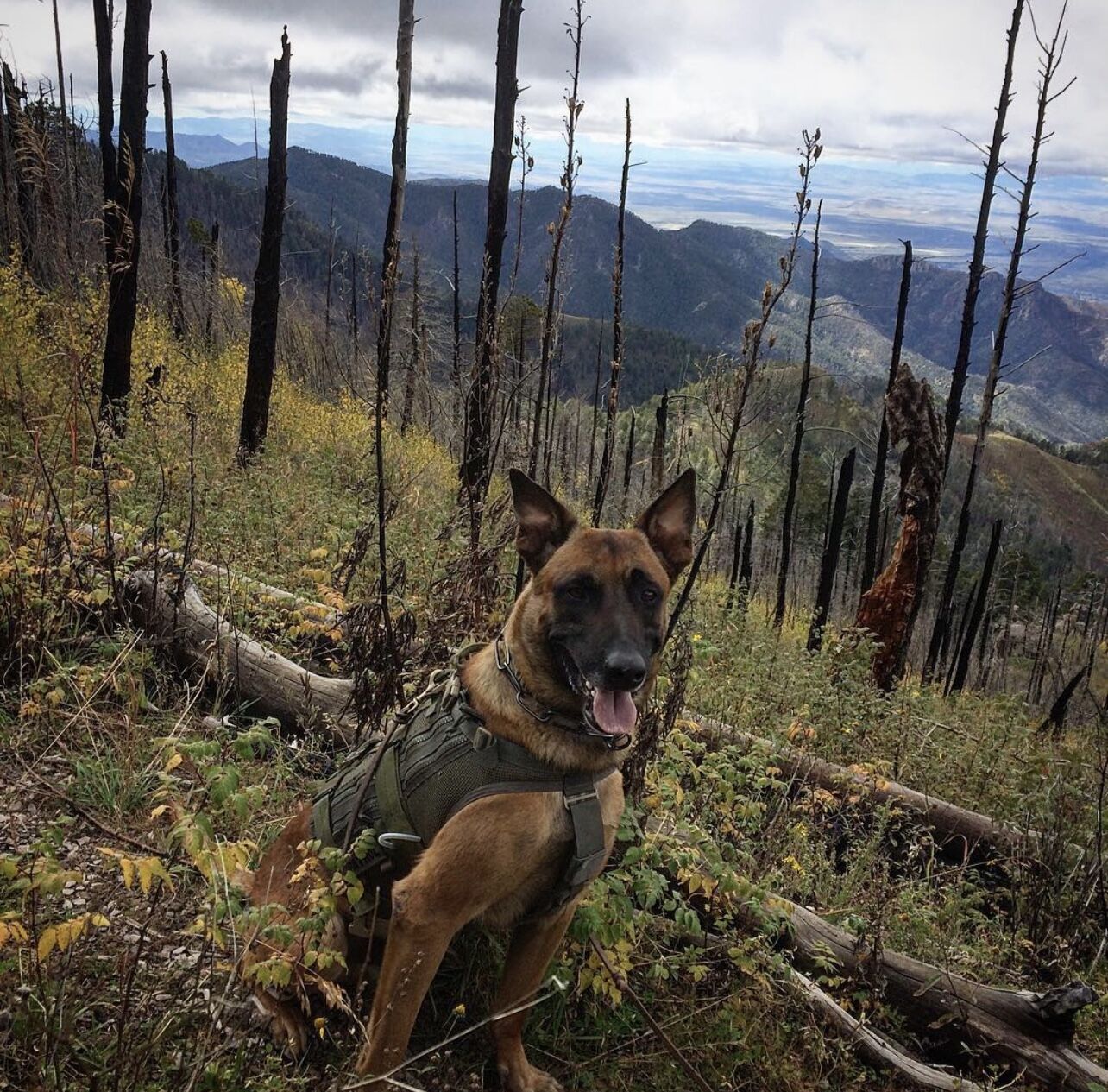 Field operations