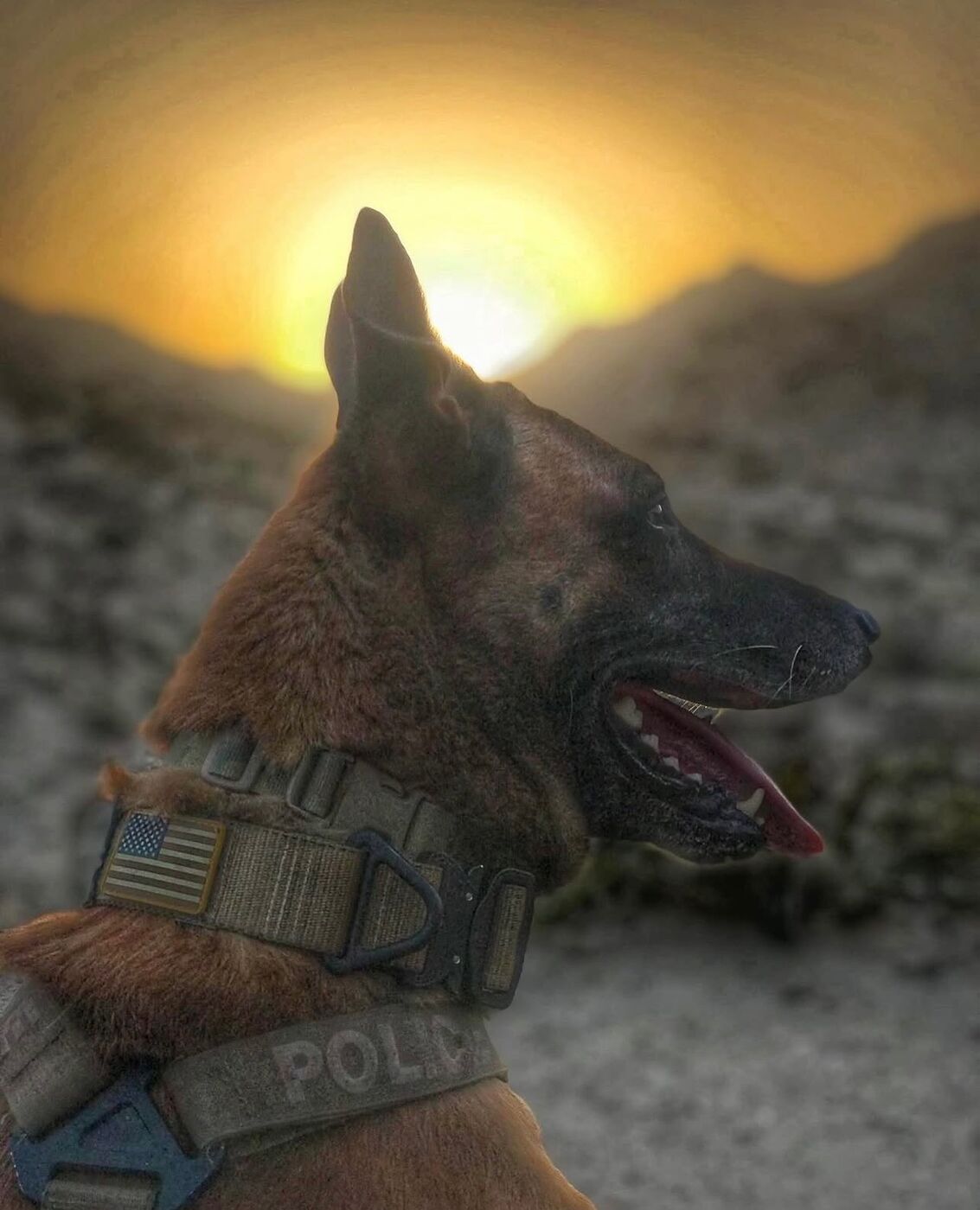 Handler team