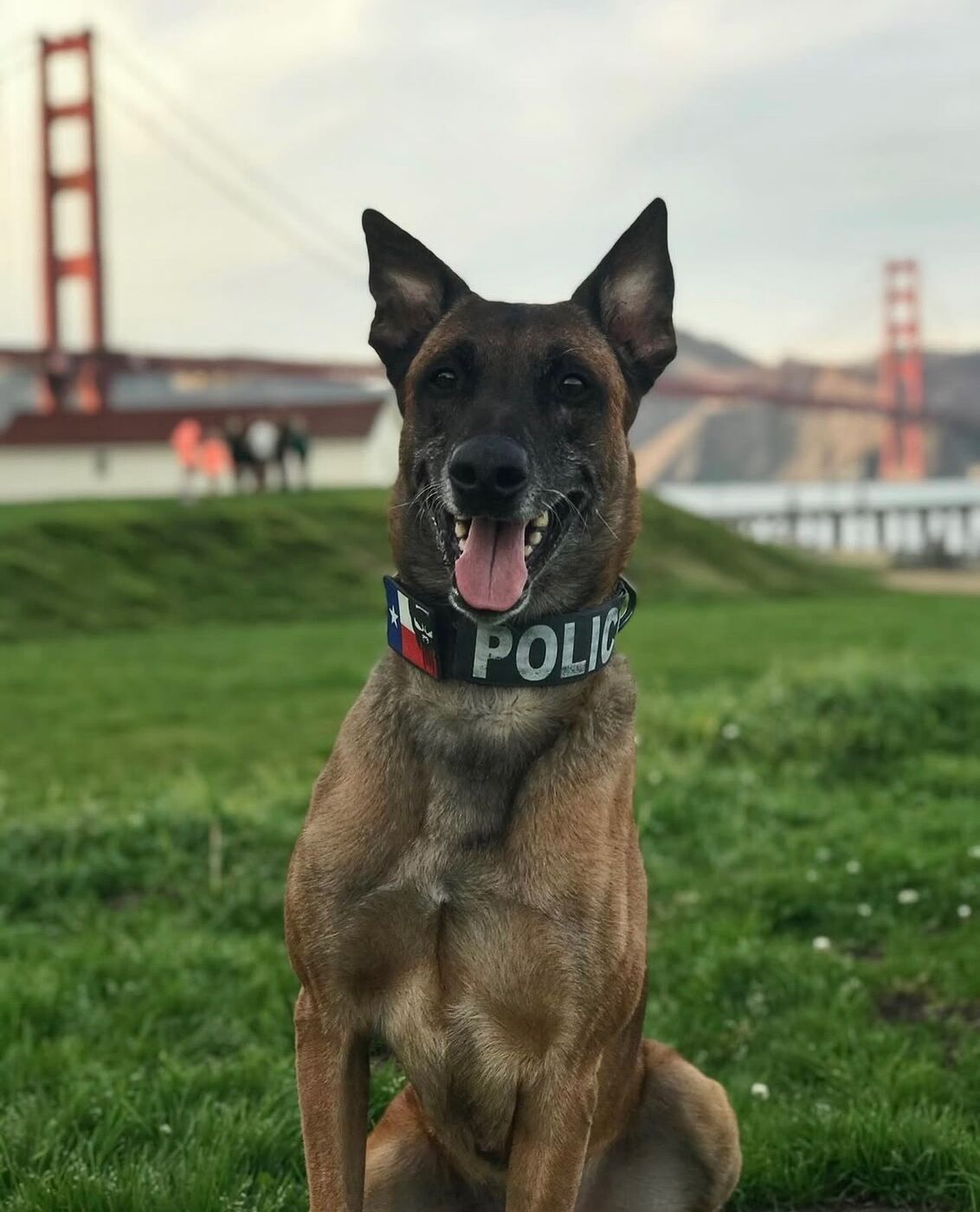 K9 Rev