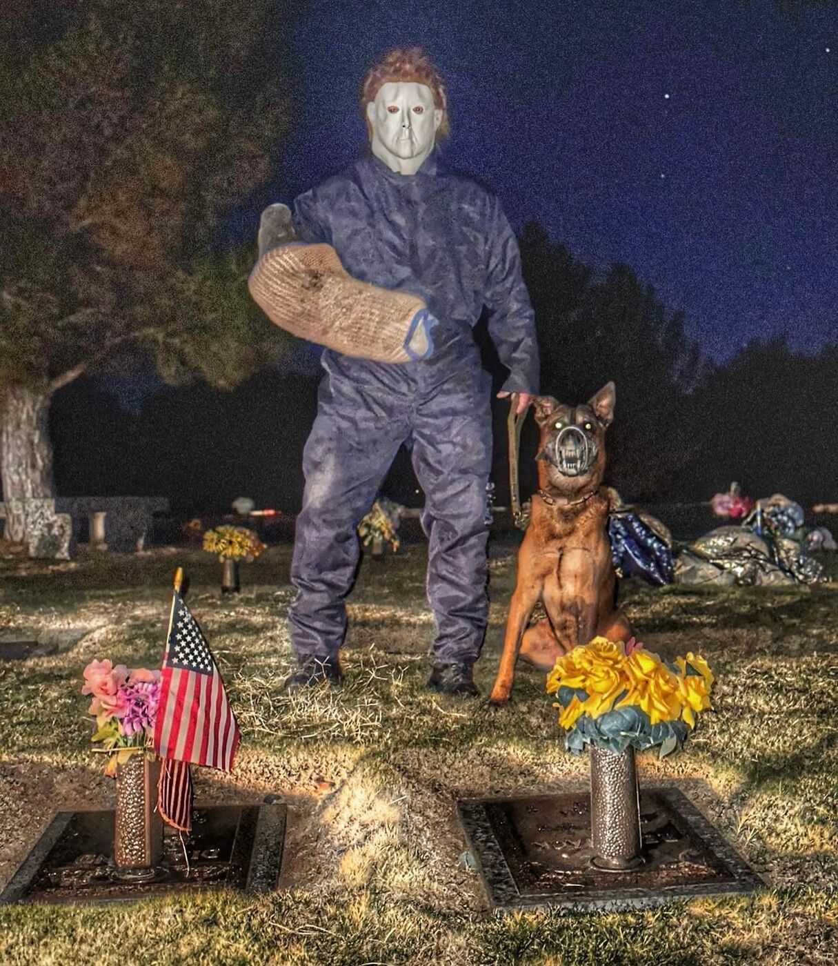 K9 Rev