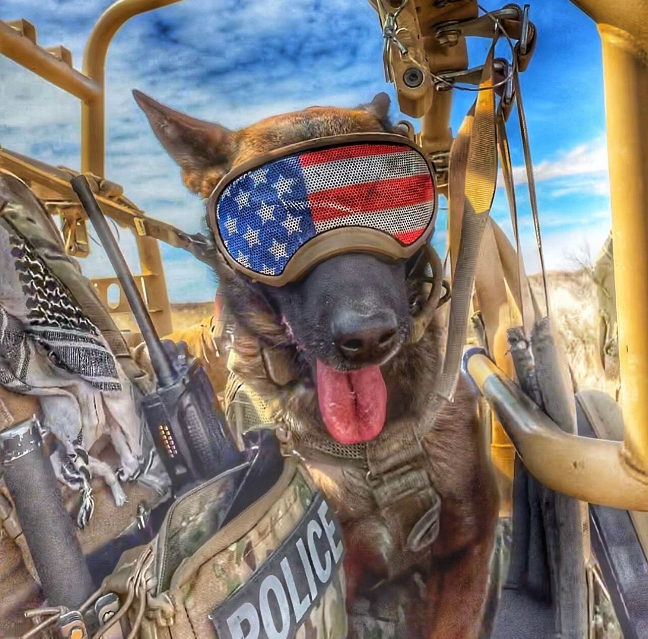 K9 Rev
