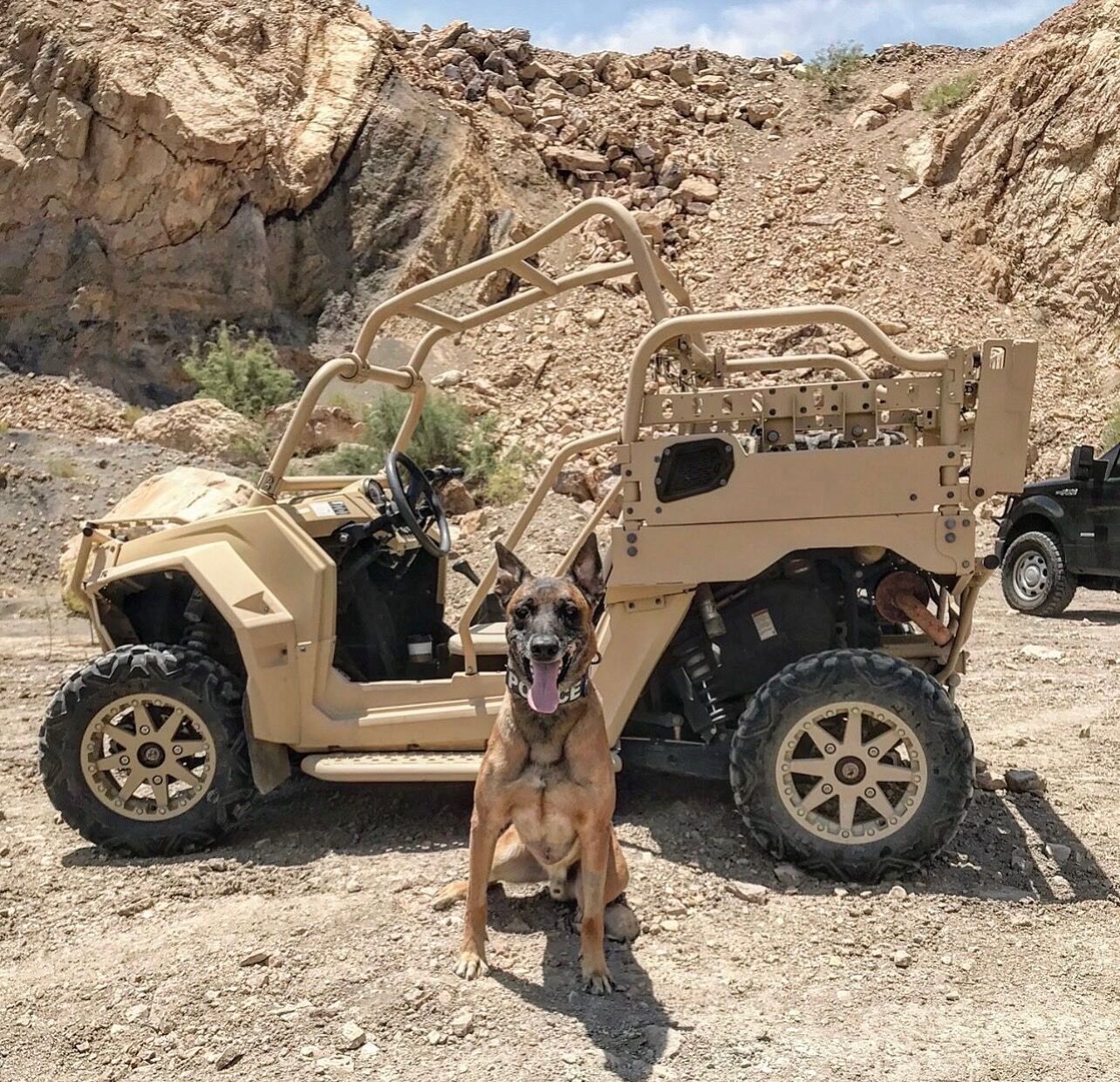 K9 Rev