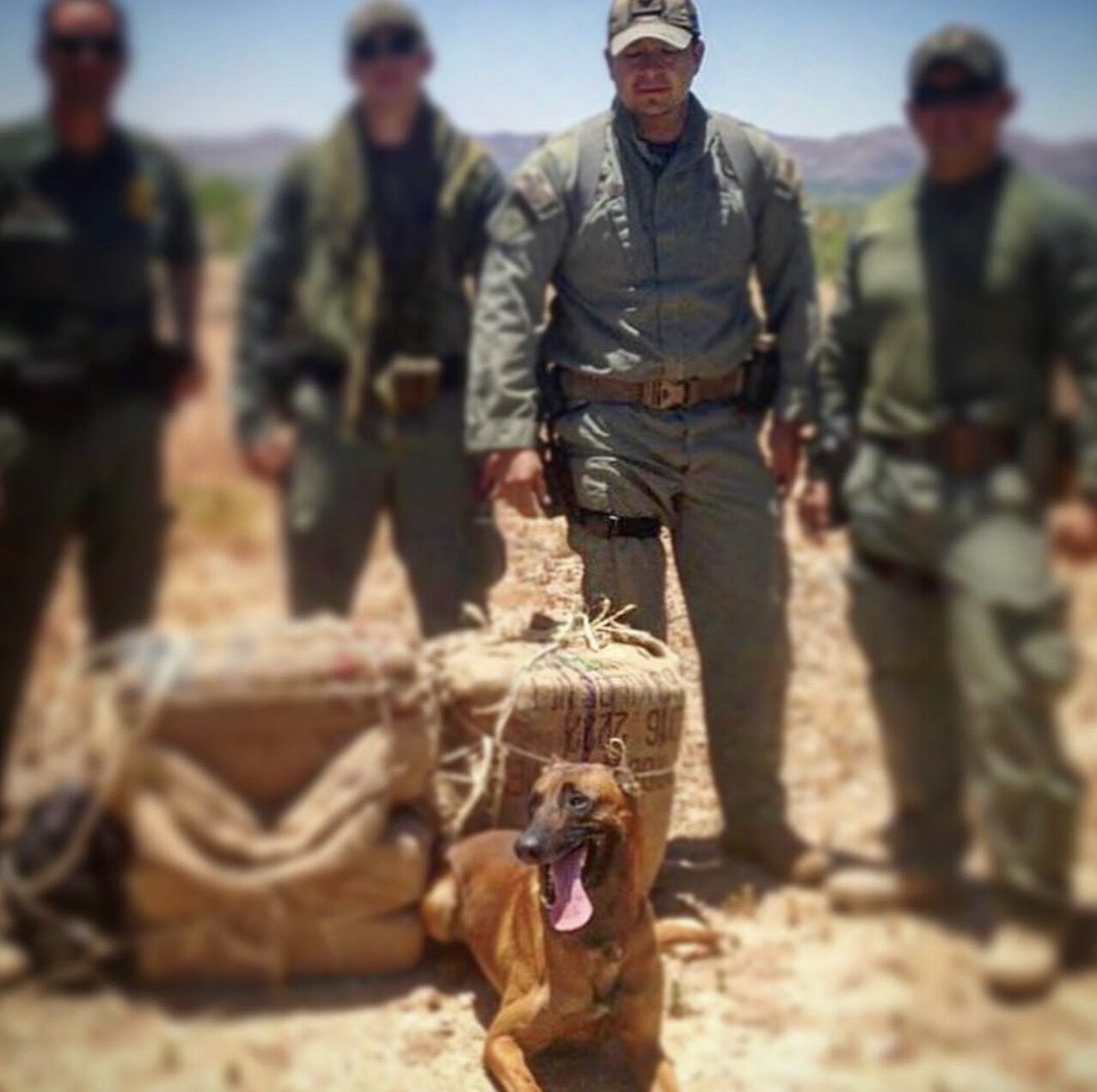 K9 team
